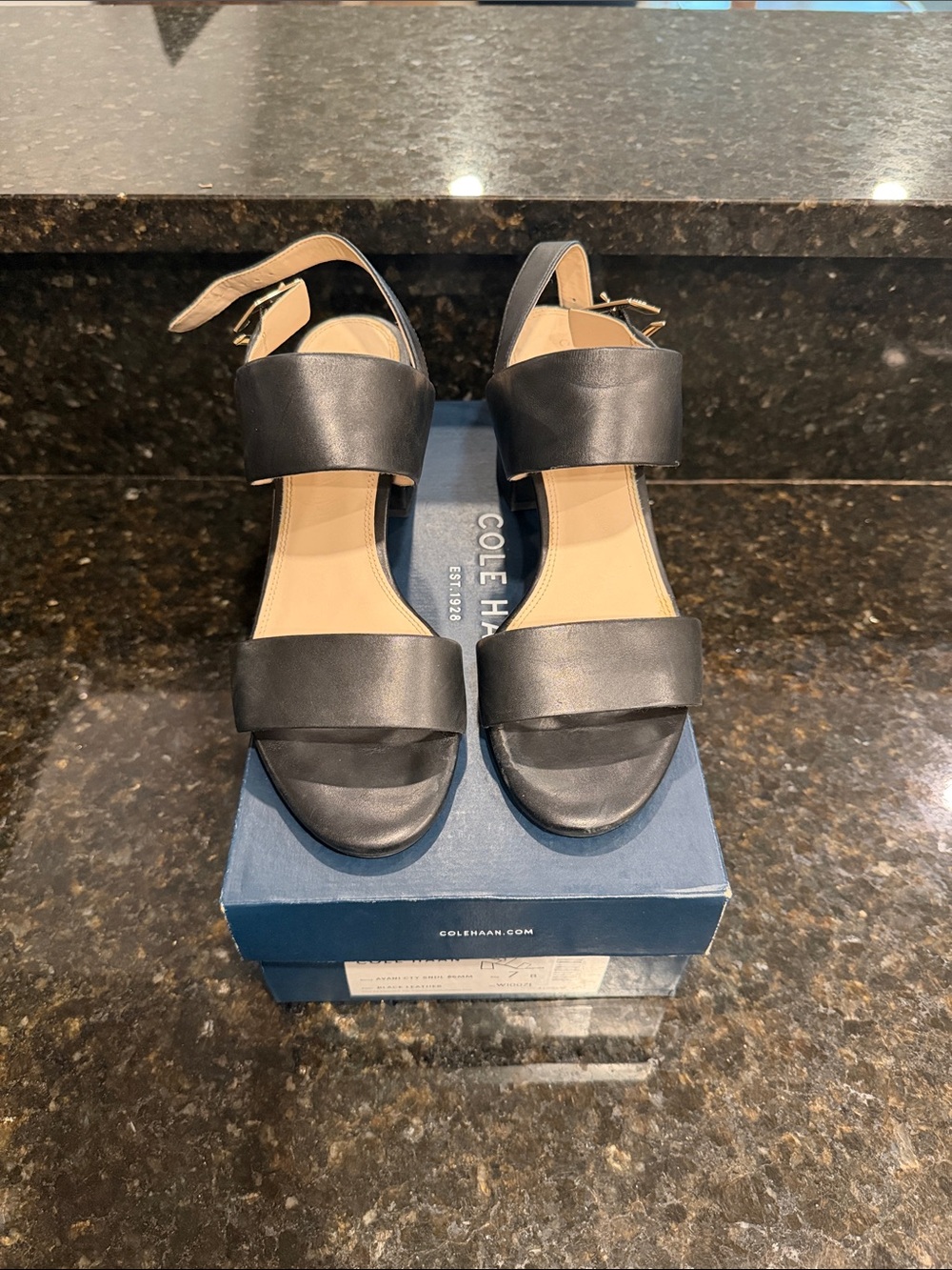 Cole Haan Black Leather Two-Strap Women's Sandals